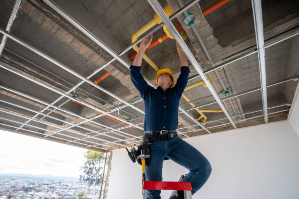 Best Plumbing Inspection Services  in Norfolk, NE